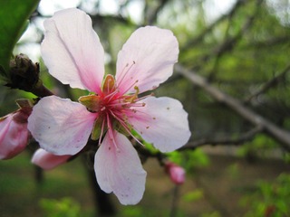IMG_7220.jpg