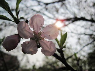 IMG_7224.jpg
