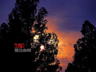 IMG_7594.jpg