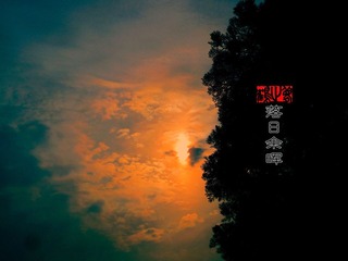 IMG_7603.jpg