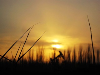IMG_8569.jpg