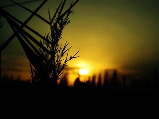 IMG_8573副本.jpg