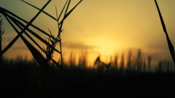 IMG_8574.jpg