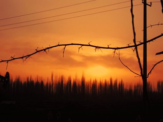 IMG_8582副本.jpg