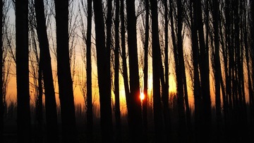 IMG_8586副本.jpg