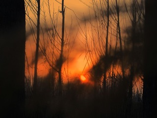 IMG_8594副本.jpg
