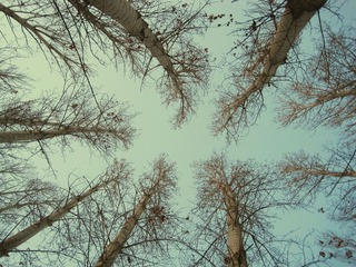 IMG_8591.jpg