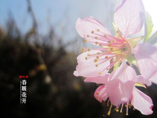 IMG_9412副本.jpg