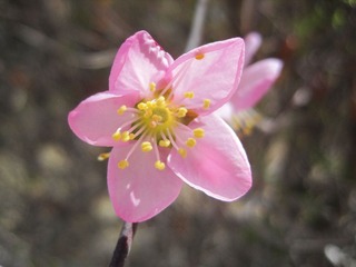 IMG_9419.jpg