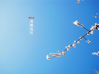 IMG_9320副本.jpg