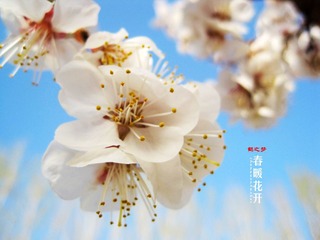 IMG_9322副本.jpg