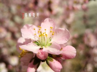 IMG_9354副本.jpg