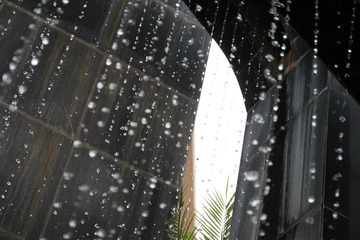 IMG_6645.JPG