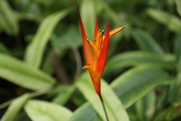 IMG_7705.JPG