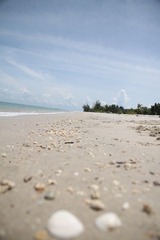 IMG_8434.JPG