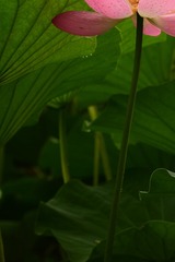 130457