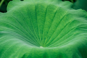 1CCADAA9-B2F3-48F6-A21D-033C713315C7/L0/001