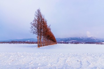 07DAB93B-F83F-44E1-B8A4-8B0AF2484946/L0/001