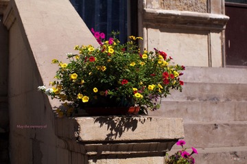 SM004693.jpg