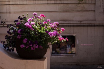 SM004699.jpg