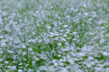 F872F58C-EBB3-4076-9CC8-6610818C8F24/L0/001