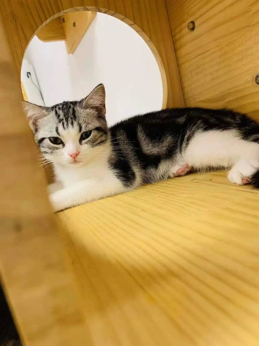 linda百毒不侵 - 图虫