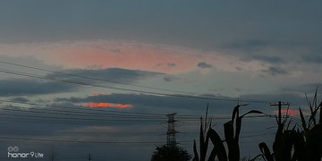 258039