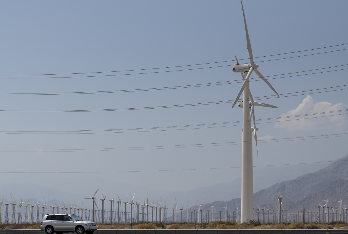 哈士奇一样犀利的小眼神儿~ br />