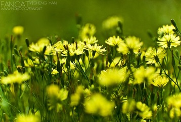 2011.7.3