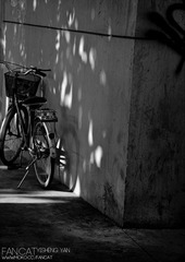 2011.7.7