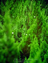 2011.6.20