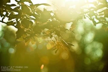 2011.6.22