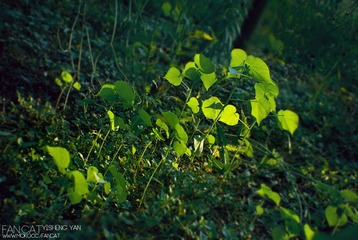 2011.6.24