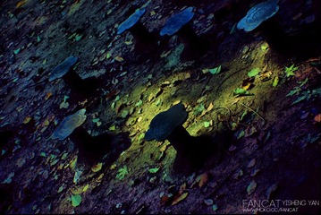2011.7.11