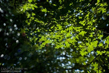 2011.7.14