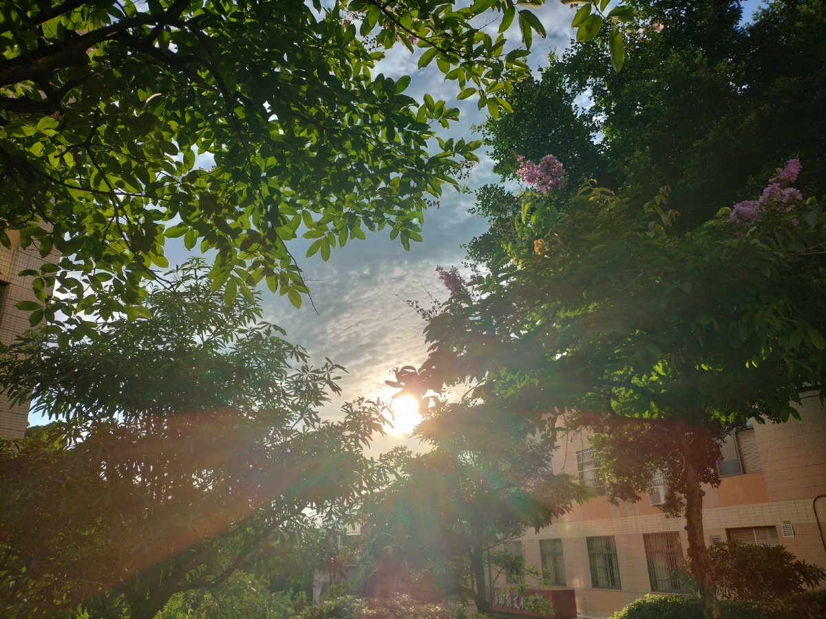 日光下的光线,总是有种让人捉摸不透的美