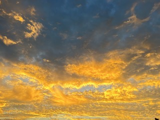 F127693A-6571-4872-B552-65B3063EF23C/L0/001