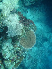 9B940AE5-D0E7-4CB9-8191-3DD58B5356E6/L0/001