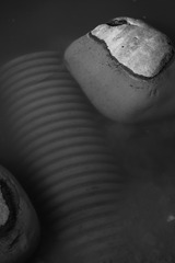 87847B92-43DF-4D23-A64D-B01D5B59235E/L0/001