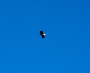 1189822