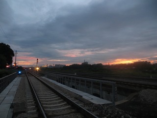 39006