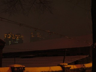 56384
