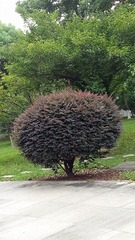 757397