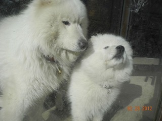 DSCN0184.JPG