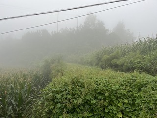 1F7B1F6D-713E-448F-9B54-898EE14B6647/L0/001