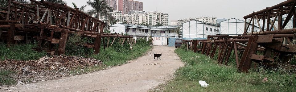 SDIM4863<br />