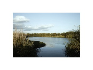 SDIM5145-Edit.jpg