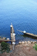IMG_0317