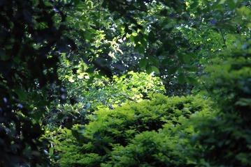 IMG_0230
