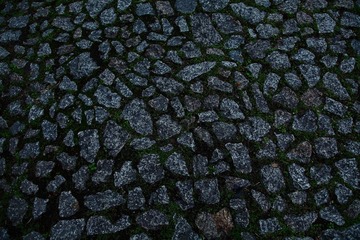 IMG_0095